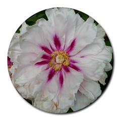 Floral Soft Pink Flower Photography Peony Rose Round Mousepads