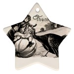 Vintage Thanksgiving Ornament (Star)