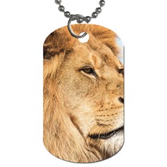 Big Male Lion Looking Right Dog Tag (two Sides) by Ucco