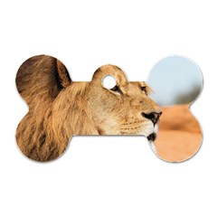 Big Male Lion Looking Right Dog Tag Bone (one Side) by Ucco