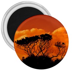 Trees Branches Sunset Sky Clouds 3  Magnets by Celenk