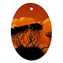 Trees Branches Sunset Sky Clouds Ornament (oval) by Celenk