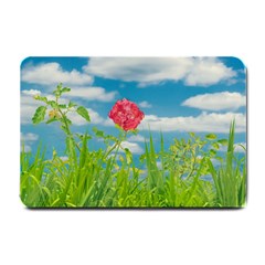Beauty Nature Scene Photo Small Doormat  by dflcprints