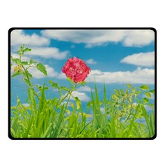 Beauty Nature Scene Photo Double Sided Fleece Blanket (small)  by dflcprints