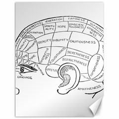 Brain Chart Diagram Face Fringe Canvas 12  X 16   by Celenk