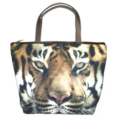 Tiger Bengal Stripes Eyes Close Bucket Bags by BangZart