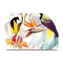 Exotic Birds Of Paradise And Flowers Watercolor Plate Mats