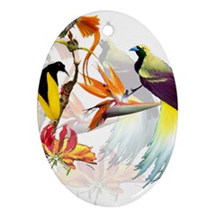 Exotic Birds Of Paradise And Flowers Watercolor Oval Ornament (two Sides) by TKKdesignsCo