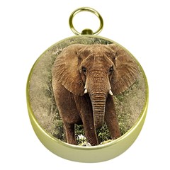 Elephant Animal Art Abstract Gold Compasses