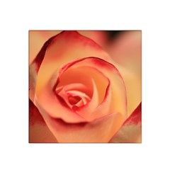Rose Orange Rose Blossom Bloom Satin Bandana Scarf by Celenk