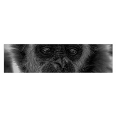 Gibbon Wildlife Indonesia Mammal Satin Scarf (oblong) by Celenk
