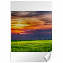 Countryside Landscape Nature Rural Canvas 20  X 30   by Celenk