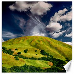 Hill Countryside Landscape Nature Canvas 16  X 16   by Celenk