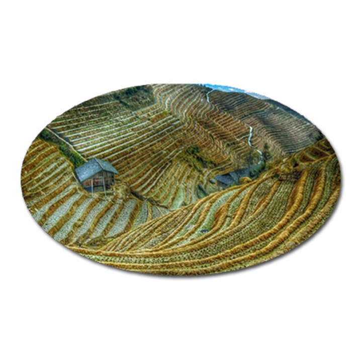 Rice Field China Asia Rice Rural Oval Magnet
