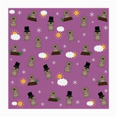 Groundhog Day Pattern Medium Glasses Cloth (2-side) by Valentinaart