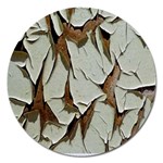 Dry Nature Pattern Background Magnet 5  (Round)