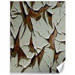 Dry Nature Pattern Background Canvas 36  x 48  