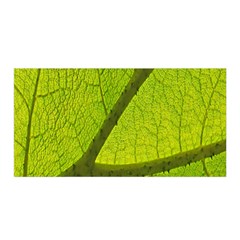 Green Leaf Plant Nature Structure Satin Wrap