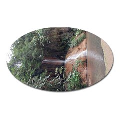 20180112 114949 Oval Magnet by AmateurPhotographyDesigns