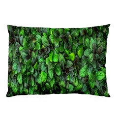 The Leaves Plants Hwalyeob Nature Pillow Case