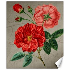 Flower Floral Background Red Rose Canvas 20  X 24  