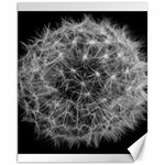 Dandelion Fibonacci Abstract Flower Canvas 11  x 14  