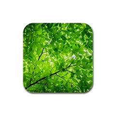 Green Wood The Leaves Twig Leaf Texture Rubber Square Coaster (4 Pack) 