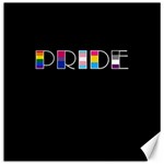 Pride Canvas 12  x 12  