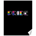 Pride Canvas 16  x 20  