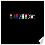 Pride Canvas 20  x 20  