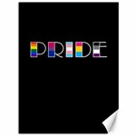 Pride Canvas 36  x 48  