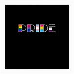 Pride Medium Glasses Cloth