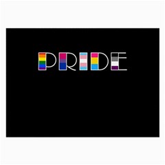 Pride Large Glasses Cloth