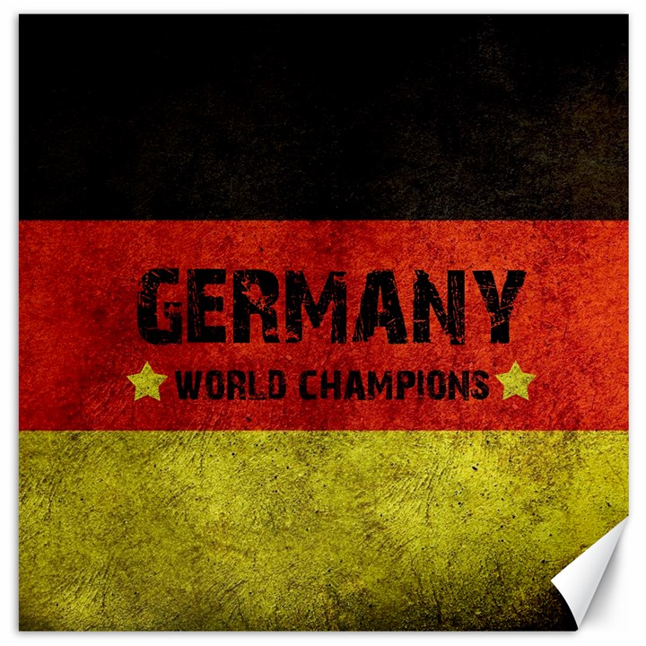 Football World Cup Canvas 20  x 20  