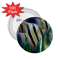 Angelfish 1 2 25  Buttons (100 Pack)  by trendistuff
