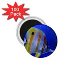 BUTTERFLY FISH 1 1.75  Magnets (100 pack)  Front