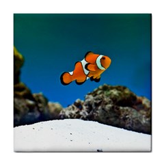 Clownfish 1 Tile Coasters by trendistuff