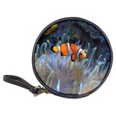 Clownfish 2 Classic 20-cd Wallets by trendistuff