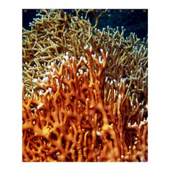 Fire Coral 1 Shower Curtain 60  X 72  (medium)  by trendistuff