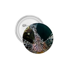 Lionfish 4 1 75  Buttons by trendistuff