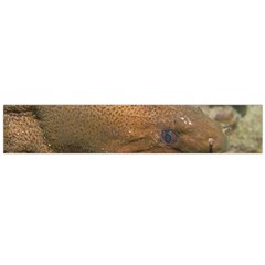Moray Eel 1 Large Flano Scarf  by trendistuff