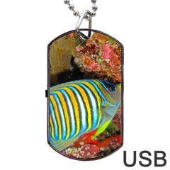 Regal Angelfish Dog Tag Usb Flash (two Sides) by trendistuff