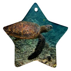 Sea Turtle 3 Ornament (star) by trendistuff