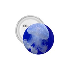 Spotted Jellyfish 1 75  Buttons by trendistuff