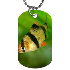 Tiger Barb Dog Tag (one Side) by trendistuff