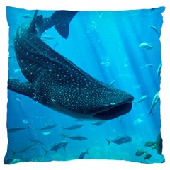 Whale Shark 2 Large Flano Cushion Case (one Side) by trendistuff