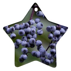 Blueberries 2 Star Ornament (two Sides) by trendistuff