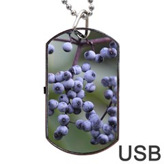 Blueberries 2 Dog Tag Usb Flash (one Side) by trendistuff