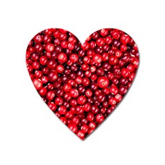 Cranberries 2 Heart Magnet by trendistuff