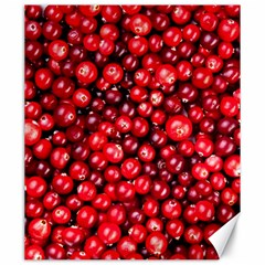 Cranberries 2 Canvas 20  X 24   by trendistuff
